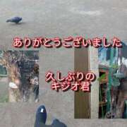 ヒメ日記 2026/01/12 08:00 投稿 あい 尻舐め女