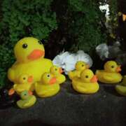 ヒメ日記 2026/01/15 17:33 投稿 あい 尻舐め女