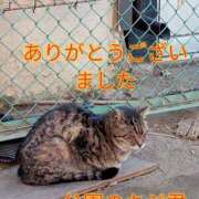 ヒメ日記 2026/01/24 20:39 投稿 あい 尻舐め女