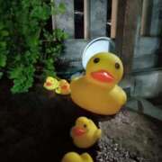 ヒメ日記 2026/01/31 09:16 投稿 あい 尻舐め女