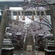 ヒメ日記 2026/02/08 12:53 投稿 あい 尻舐め女