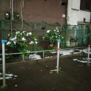 ヒメ日記 2026/02/08 20:08 投稿 あい 尻舐め女