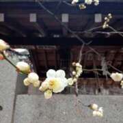 ヒメ日記 2026/02/11 19:26 投稿 あい 尻舐め女