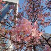 ヒメ日記 2026/02/19 21:25 投稿 あい 尻舐め女