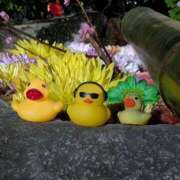 ヒメ日記 2026/03/06 01:57 投稿 あい 尻舐め女