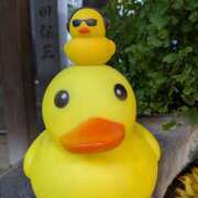 ヒメ日記 2026/03/13 10:26 投稿 あい 尻舐め女