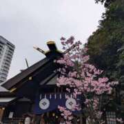 ヒメ日記 2026/03/20 18:50 投稿 あい 尻舐め女