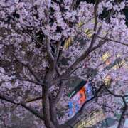 ヒメ日記 2026/03/21 11:16 投稿 あい 尻舐め女