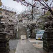 ヒメ日記 2026/03/26 08:47 投稿 あい 尻舐め女