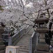 ヒメ日記 2026/03/27 18:02 投稿 あい 尻舐め女