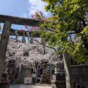 ヒメ日記 2026/03/28 21:09 投稿 あい 尻舐め女