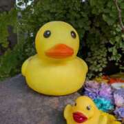 ヒメ日記 2026/04/11 21:22 投稿 あい 尻舐め女