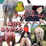 ヒメ日記 2026/05/09 08:09 投稿 あい 尻舐め女