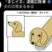 ヒメ日記 2026/05/19 06:00 投稿 あい 尻舐め女