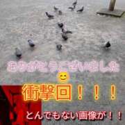 ヒメ日記 2026/05/23 04:23 投稿 あい 尻舐め女
