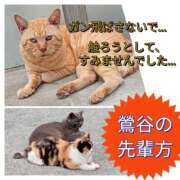 あい 鶯谷の『ちいつよ』挨拶の礼儀作法！ 尻舐め女