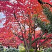 ヒメ日記 2025/01/31 09:01 投稿 戸田 みすず 神戸RED DRAGON