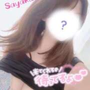 ヒメ日記 2025/06/01 08:15 投稿 さやか 柏人妻花壇