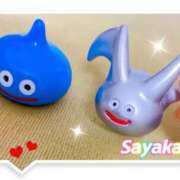 ヒメ日記 2025/06/25 13:43 投稿 さやか 柏人妻花壇