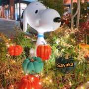 ヒメ日記 2025/10/27 13:53 投稿 さやか 柏人妻花壇