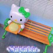 ヒメ日記 2026/02/28 12:29 投稿 さやか 柏人妻花壇