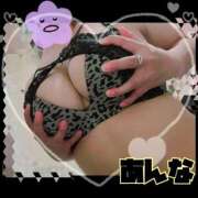 あんな いてるよーぉฅ(º ﾛ º ฅ) 妻天 京橋店