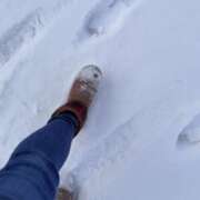 ヒメ日記 2024/12/31 18:16 投稿 目黒あいな MADAM