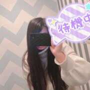 ヒメ日記 2025/02/06 14:09 投稿 なな CURVY POP 池袋店