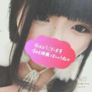 ヒメ日記 2025/03/24 12:32 投稿 なな CURVY POP 池袋店