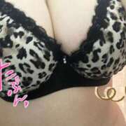 ヒメ日記 2025/04/09 13:14 投稿 なな CURVY POP 池袋店