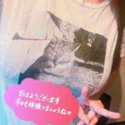 ヒメ日記 2025/10/16 10:12 投稿 なな CURVY POP 池袋店