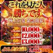 ヒメ日記 2026/04/23 19:47 投稿 メア　♡激カワ看板娘バニー♡ ドMなバニーちゃん 名古屋・池下店