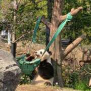 ヒメ日記 2025/07/06 15:00 投稿 ふぶき 横浜人妻セレブリティ（ユメオト）