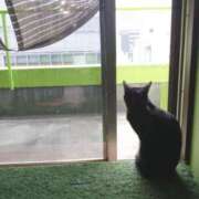 ヒメ日記 2025/07/13 15:00 投稿 ふぶき 横浜人妻セレブリティ（ユメオト）