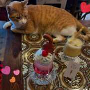 ヒメ日記 2025/08/31 15:00 投稿 ふぶき 横浜人妻セレブリティ（ユメオト）