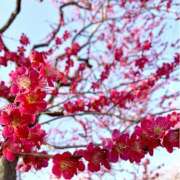 ヒメ日記 2026/03/07 18:00 投稿 ふぶき 横浜人妻セレブリティ（ユメオト）