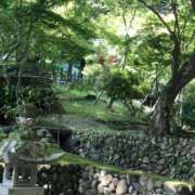 ヒメ日記 2025/01/24 15:08 投稿 なごみ 神田ハンドメイド