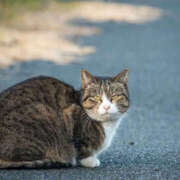 ヒメ日記 2025/02/14 16:30 投稿 なごみ 神田ハンドメイド