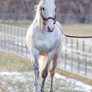 ヒメ日記 2025/07/30 10:28 投稿 浅倉れいら お姉さんLABO -艶-
