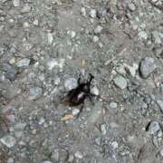 ヒメ日記 2025/08/31 11:06 投稿 えん 池袋マリン本店