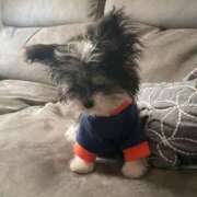 ヒメ日記 2025/12/24 16:06 投稿 えん 池袋マリン本店