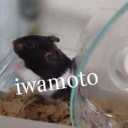 ヒメ日記 2025/02/23 18:19 投稿 岩本(いわもと) 八王子人妻城