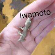 ヒメ日記 2025/05/27 12:21 投稿 岩本(いわもと) 八王子人妻城