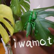 ヒメ日記 2025/09/14 08:09 投稿 岩本(いわもと) 八王子人妻城