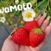 ヒメ日記 2026/04/18 00:18 投稿 岩本(いわもと) 八王子人妻城