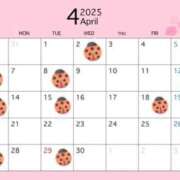 ヒメ日記 2025/03/27 12:02 投稿 今村まりあ 多恋人倶楽部