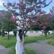 ヒメ日記 2025/10/18 12:15 投稿 今村まりあ 多恋人倶楽部