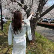 ヒメ日記 2026/03/30 19:01 投稿 今村まりあ 多恋人倶楽部