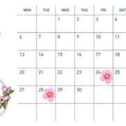 ヒメ日記 2026/04/01 08:02 投稿 今村まりあ 多恋人倶楽部