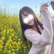 ヒメ日記 2026/04/28 09:30 投稿 今村まりあ 多恋人倶楽部